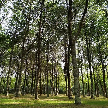 בית כפרי Abeiro Da Loba Madelos